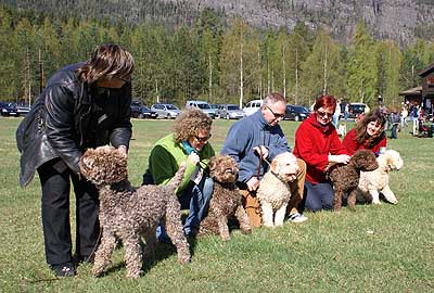 norge radunoavelsgrupp.jpg